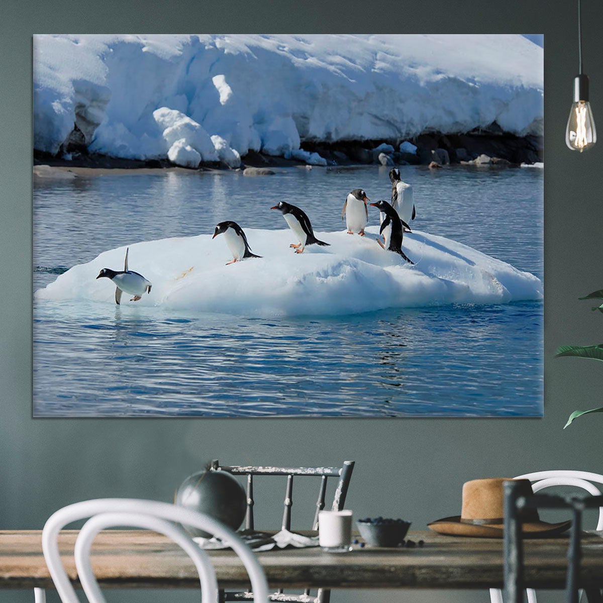 Gentoo Penguin playtime Canvas Print or Poster - Canvas Art Rocks - 3