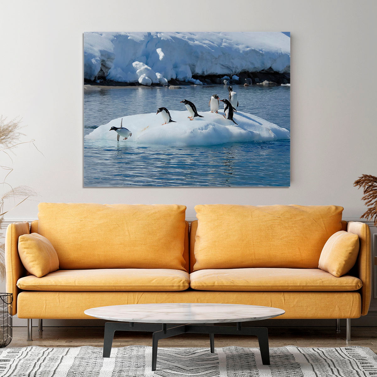 Gentoo Penguin playtime Canvas Print or Poster - Canvas Art Rocks - 4