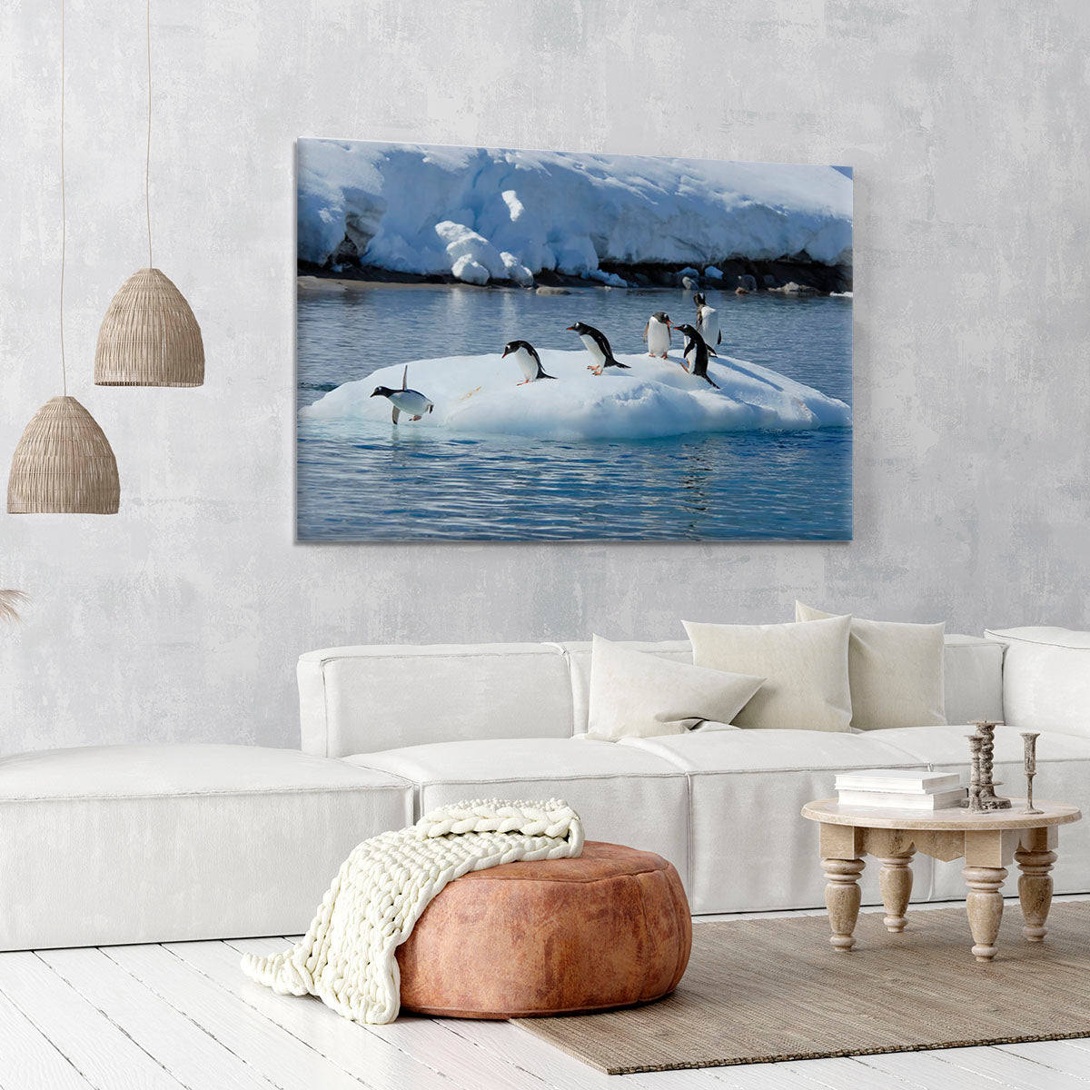 Gentoo Penguin playtime Canvas Print or Poster - Canvas Art Rocks - 6