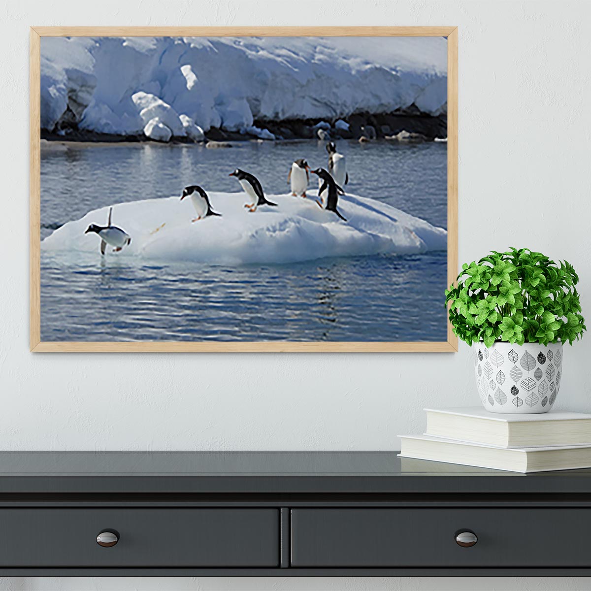 Gentoo Penguin playtime Framed Print - Canvas Art Rocks - 4