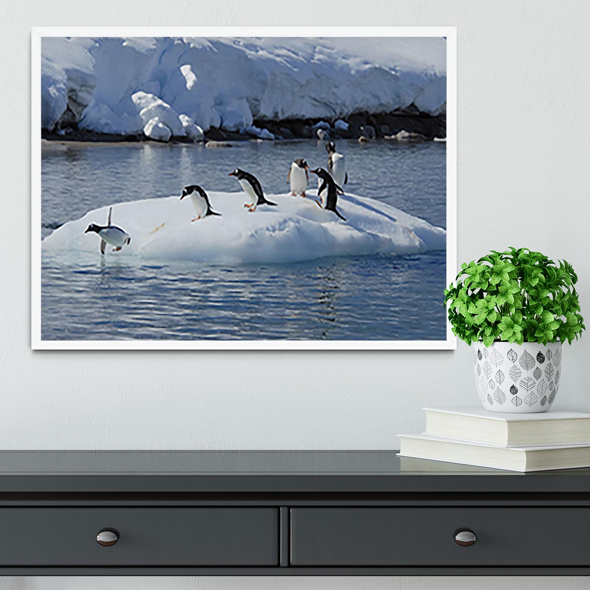 Gentoo Penguin playtime Framed Print - Canvas Art Rocks -6