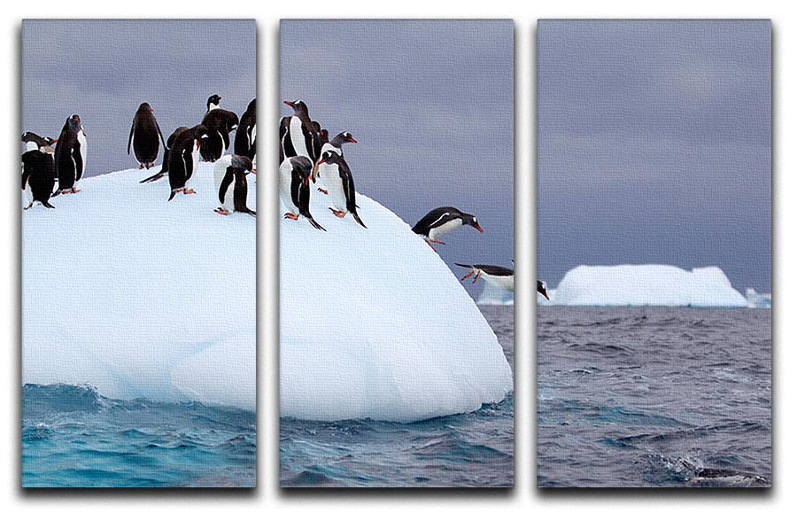 Gentoo penguin jumping into water 3 Split Panel Canvas Print - Canvas Art Rocks - 1