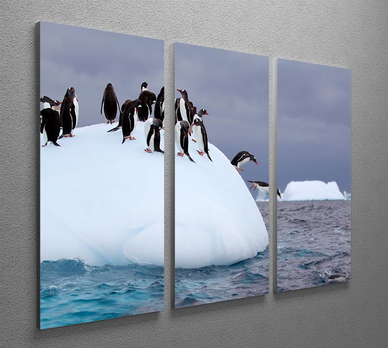 Gentoo penguin jumping into water 3 Split Panel Canvas Print - Canvas Art Rocks - 2