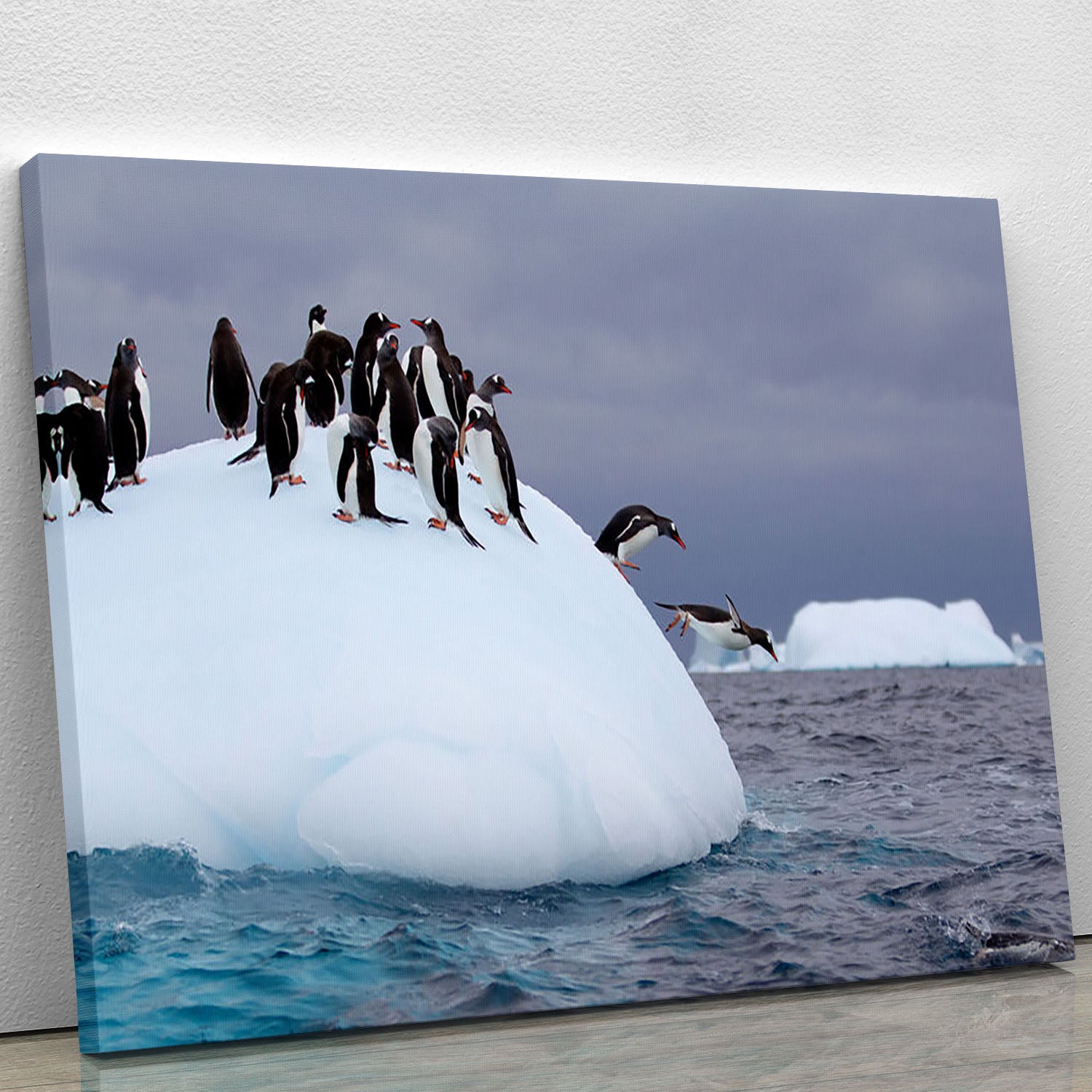 Gentoo penguin jumping into water Canvas Print or Poster - Canvas Art Rocks - 1