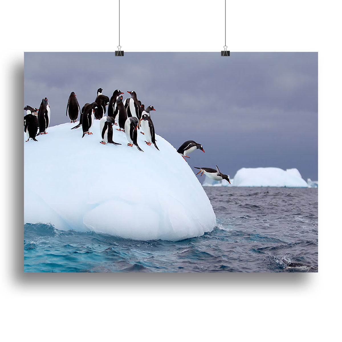 Gentoo penguin jumping into water Canvas Print or Poster - Canvas Art Rocks - 2