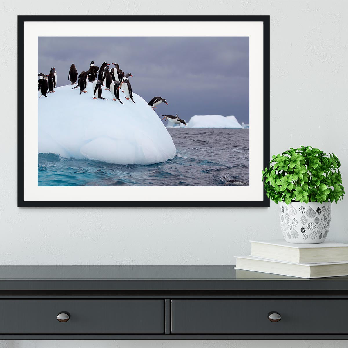 Gentoo penguin jumping into water Framed Print - Canvas Art Rocks - 1