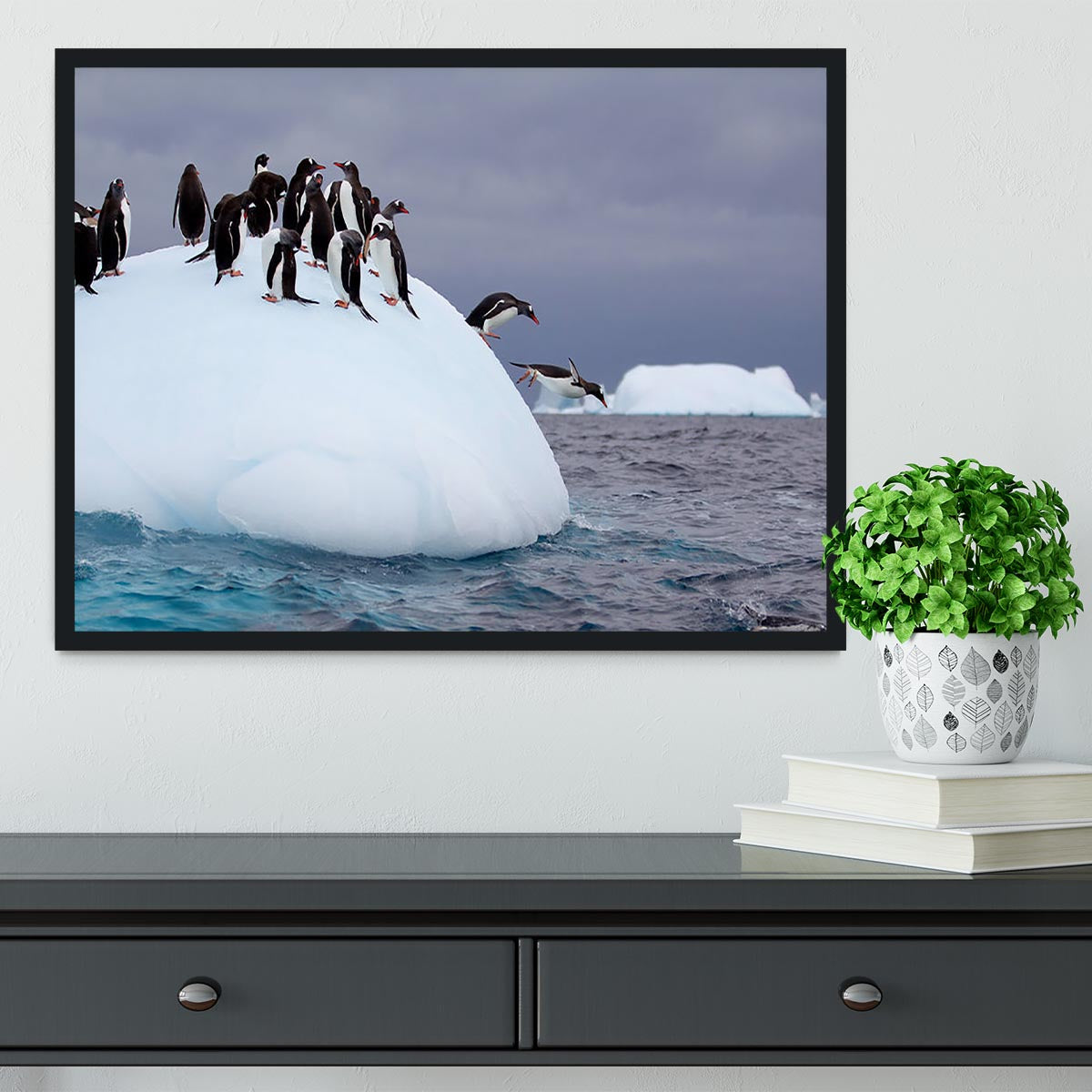 Gentoo penguin jumping into water Framed Print - Canvas Art Rocks - 2