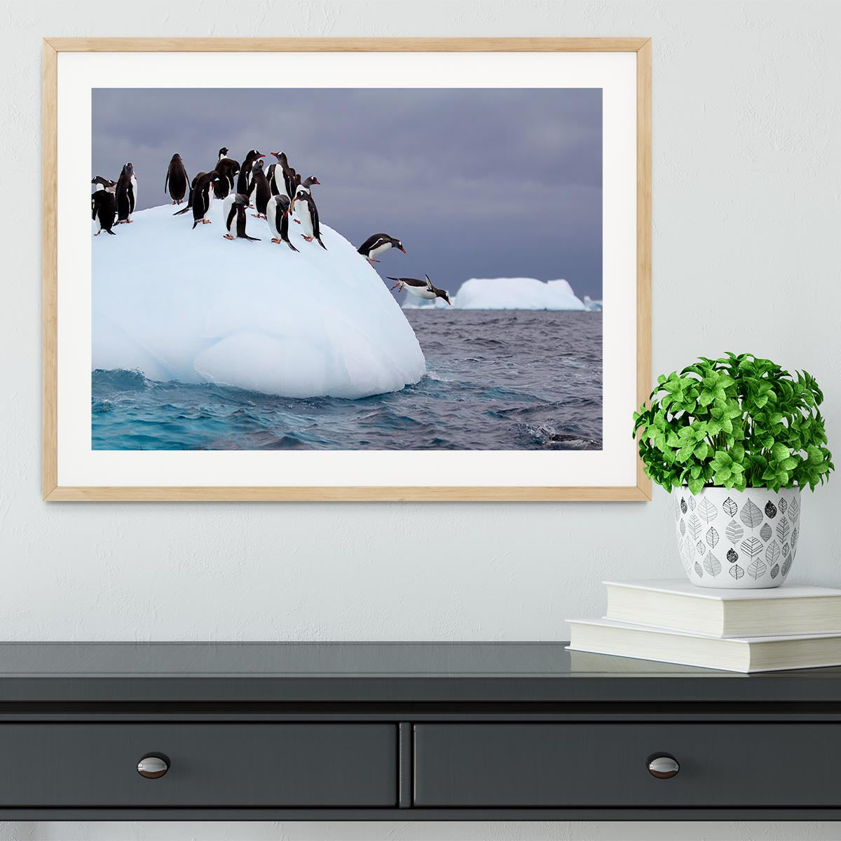 Gentoo penguin jumping into water Framed Print - Canvas Art Rocks - 3