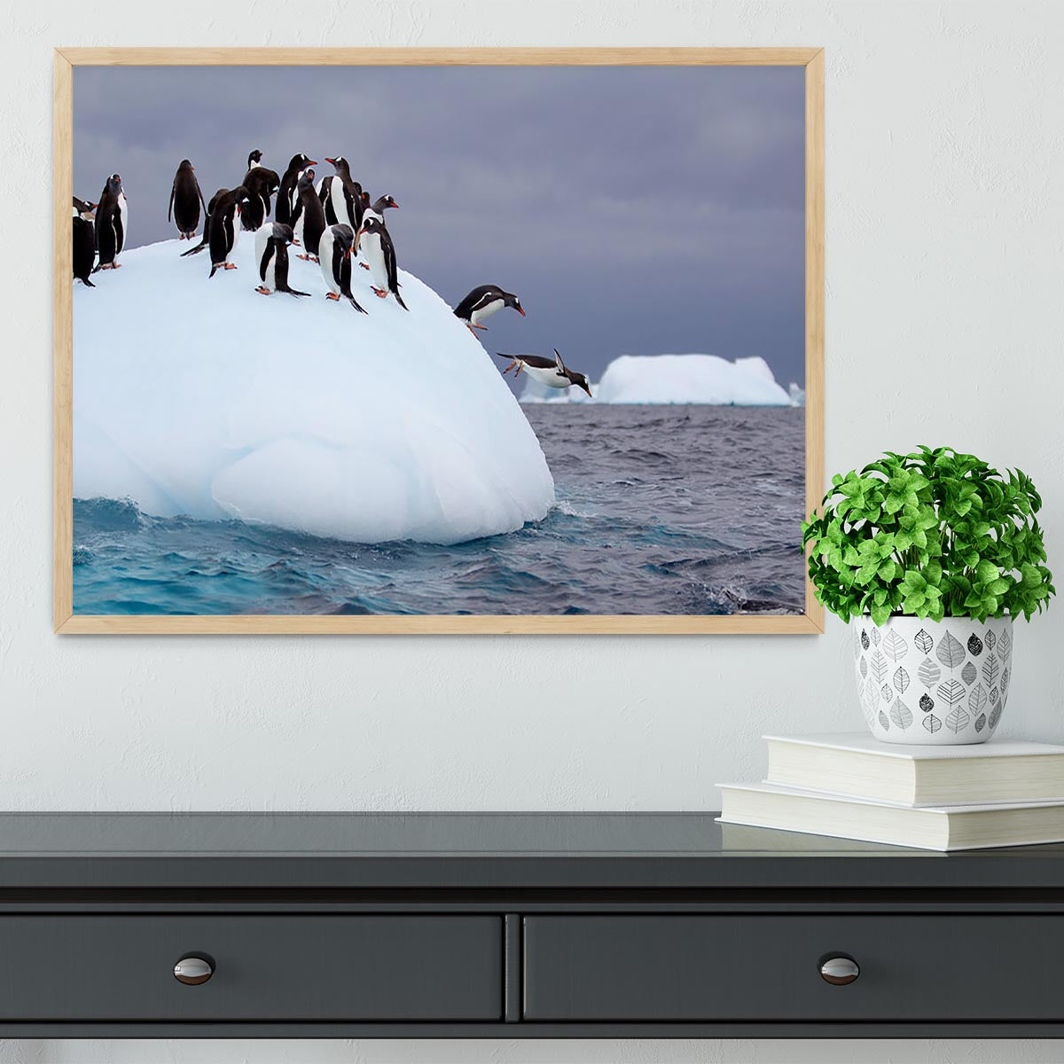 Gentoo penguin jumping into water Framed Print - Canvas Art Rocks - 4