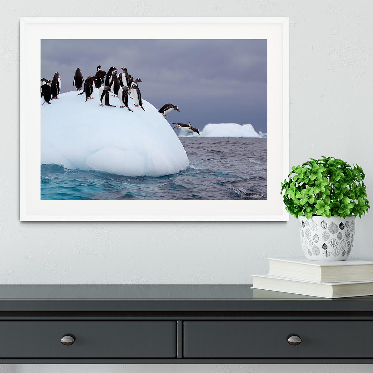 Gentoo penguin jumping into water Framed Print - Canvas Art Rocks - 5