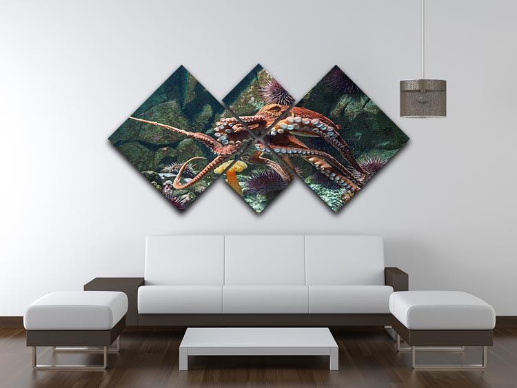 Giant Pacific octopus 4 Square Multi Panel Canvas  - Canvas Art Rocks - 3