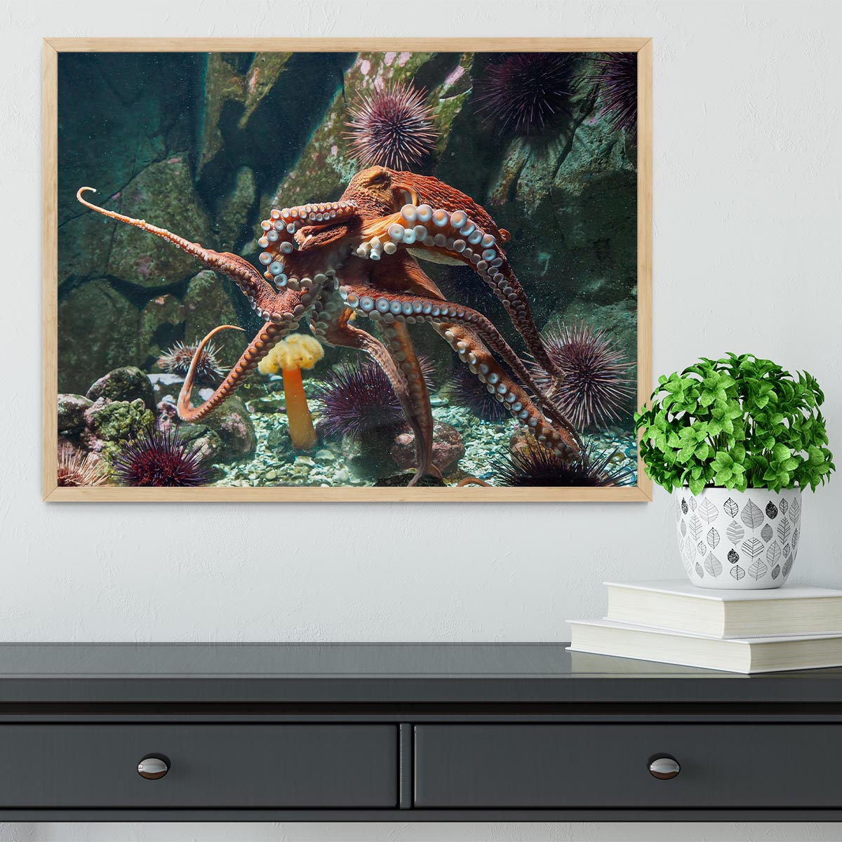 Giant Pacific octopus Framed Print - Canvas Art Rocks - 4