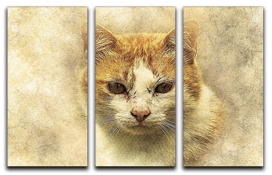 Ginger Cat Painting 3 Split Panel Canvas Print - Canvas Art Rocks - 1