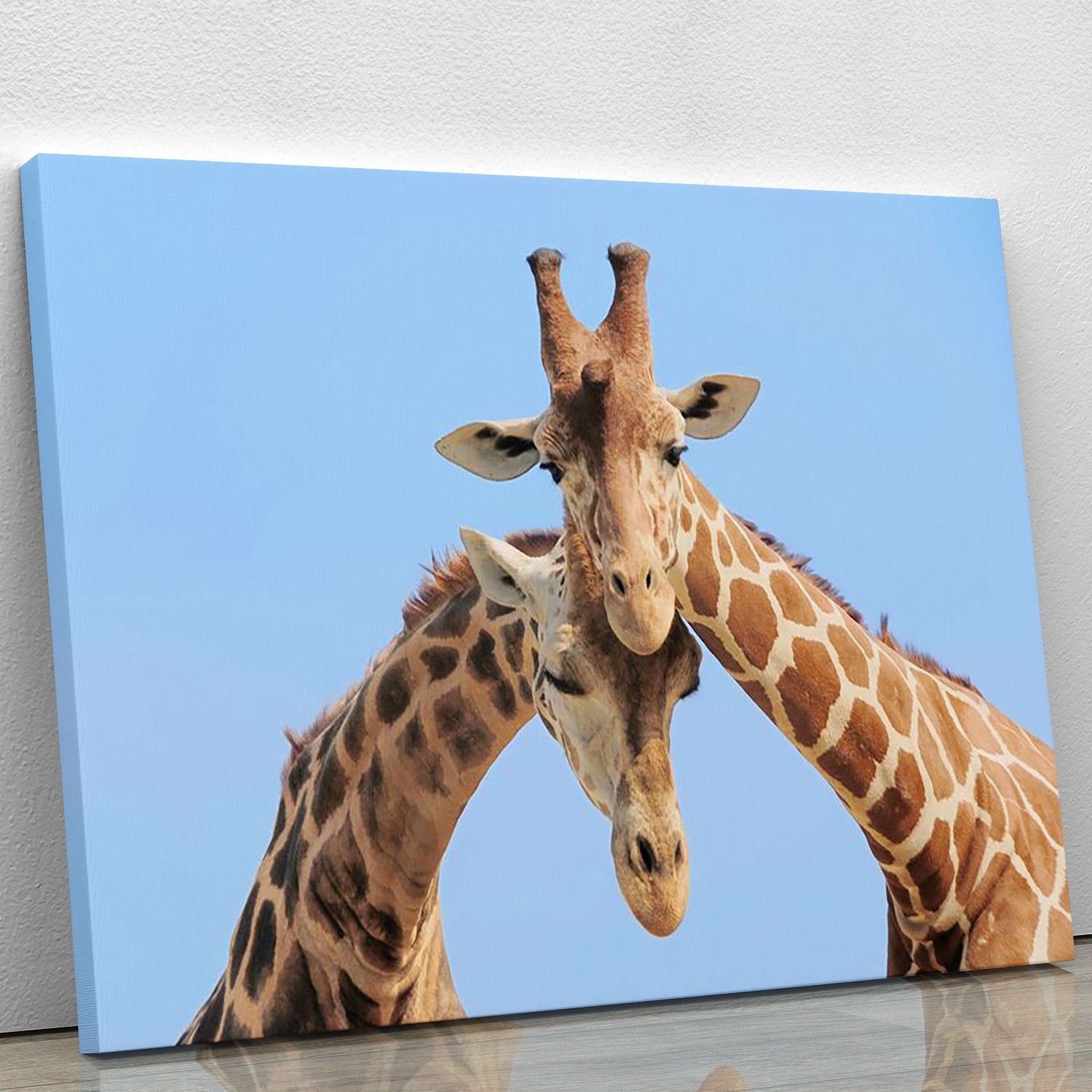 Giraffe couple in love with blue sky on background Canvas Print or Poster - Canvas Art Rocks - 1
