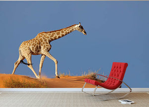 Giraffe walking on a sand dune Kalahari desert South Africa Wall Mural Wallpaper - Canvas Art Rocks - 2