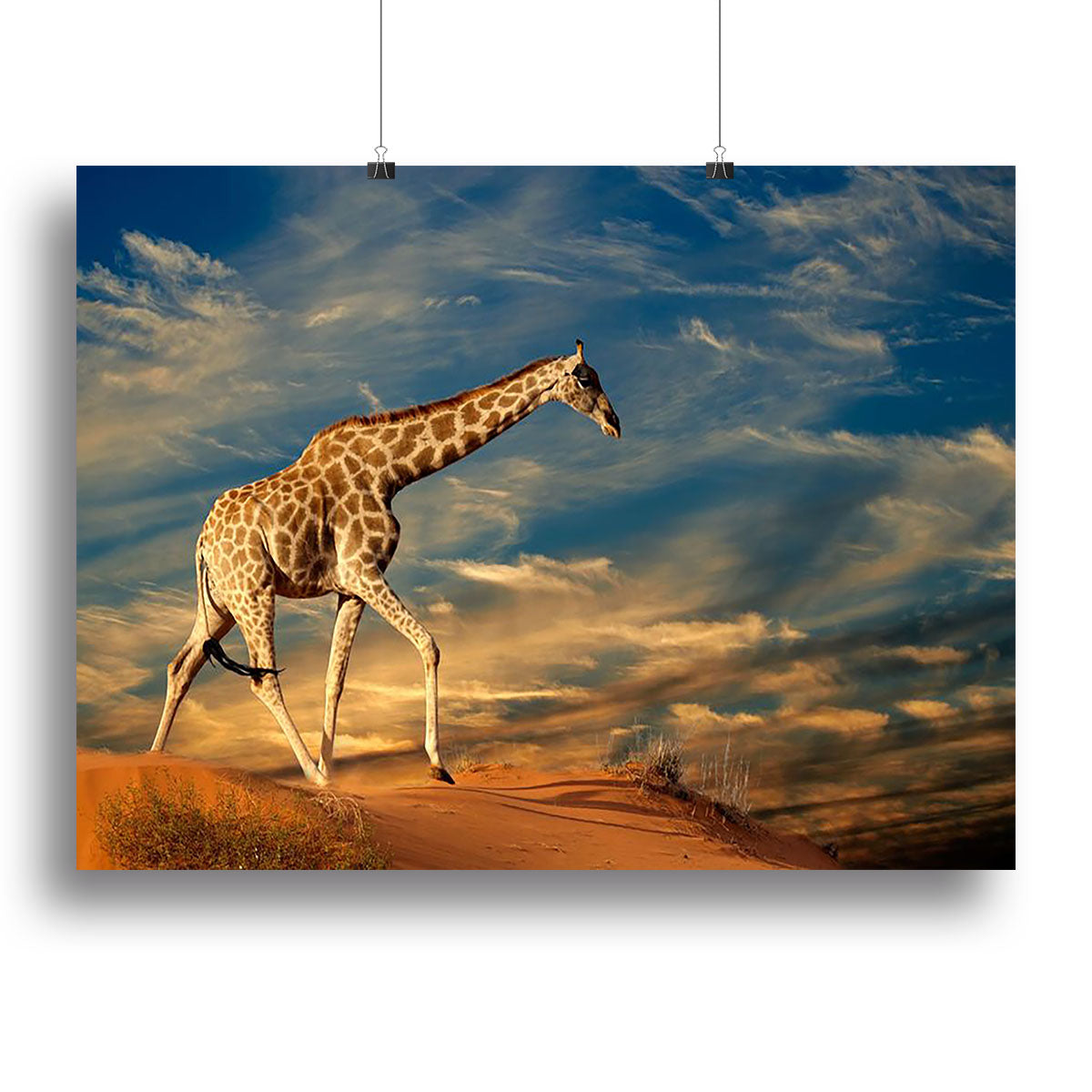 Giraffe walking on a sand dune with clouds South Africa Canvas Print or Poster - Canvas Art Rocks - 2