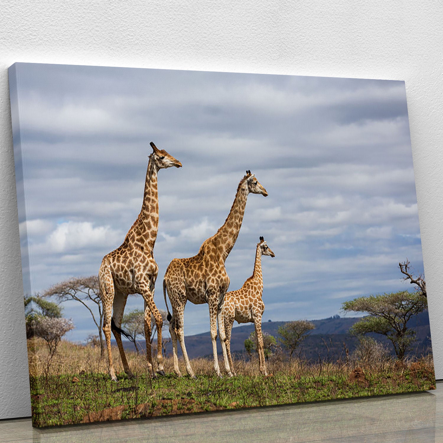 Giraffes in south africa game reserve Canvas Print or Poster - Canvas Art Rocks - 1