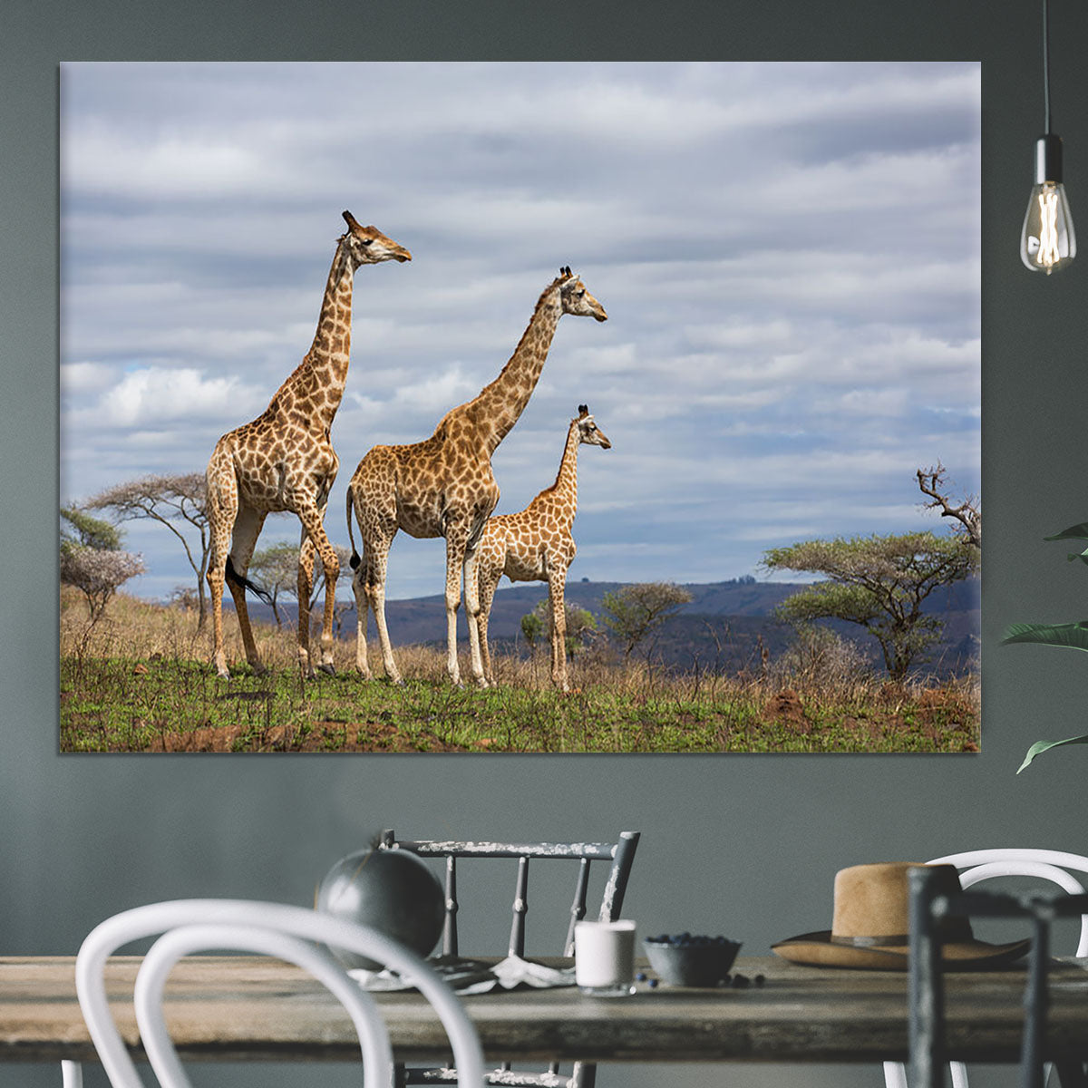 Giraffes in south africa game reserve Canvas Print or Poster - Canvas Art Rocks - 3