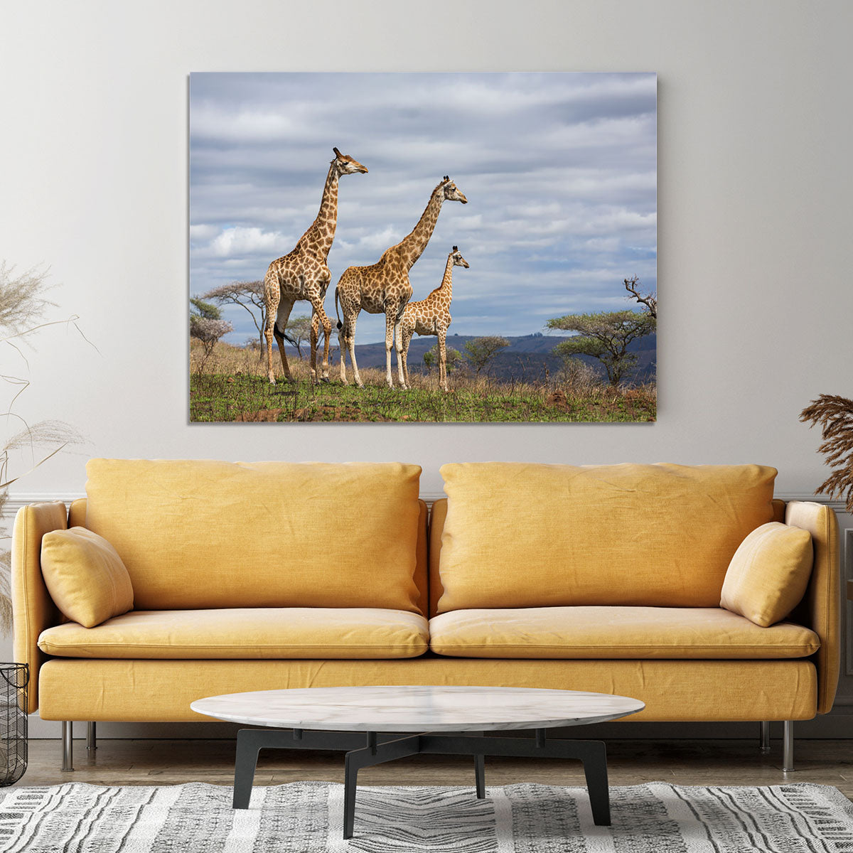 Giraffes in south africa game reserve Canvas Print or Poster - Canvas Art Rocks - 4