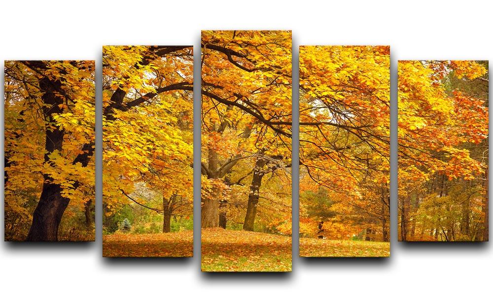 Gold Trees in a park 5 Split Panel Canvas  - Canvas Art Rocks - 1