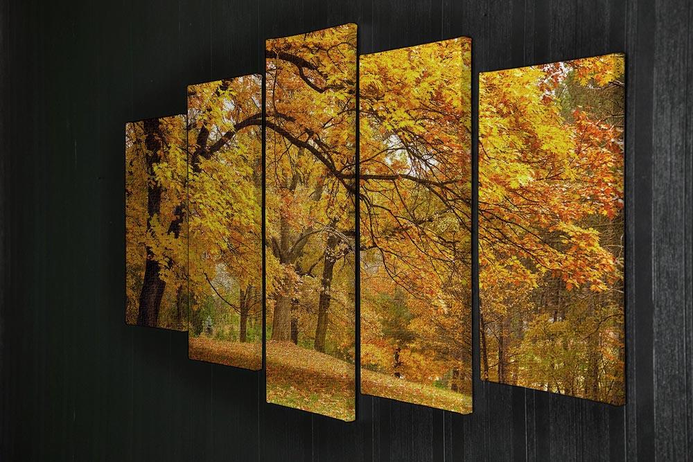 Gold Trees in a park 5 Split Panel Canvas  - Canvas Art Rocks - 2