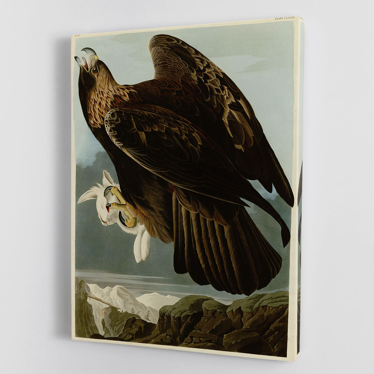 Golden Eagle by Audubon Canvas Print or Poster - Canvas Art Rocks - 1