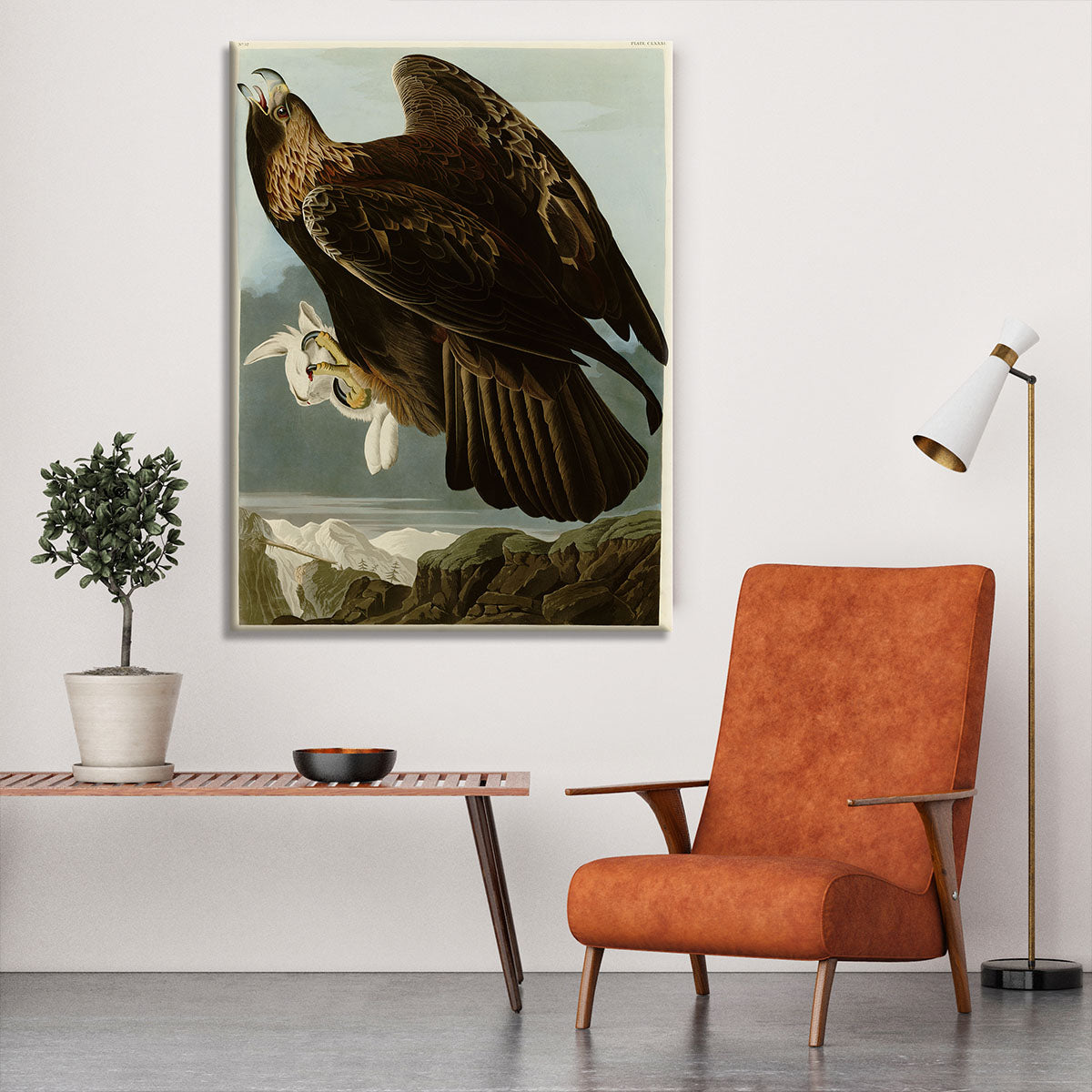 Golden Eagle by Audubon Canvas Print or Poster - Canvas Art Rocks - 6