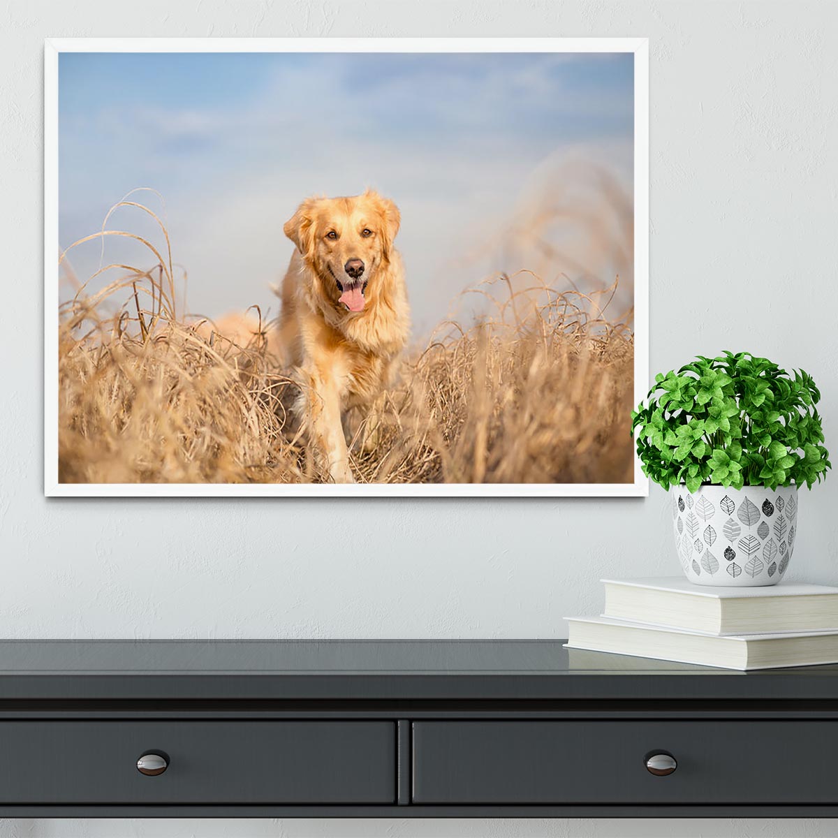 Golden retriever dog running Framed Print - Canvas Art Rocks -6