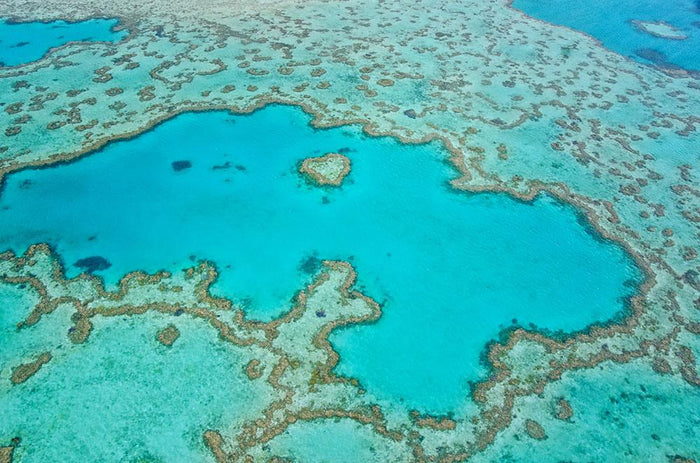 Great Barrier Reef Aerial View Wall Mural Wallpaper