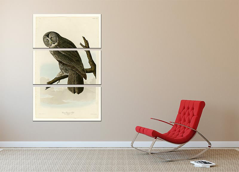 Great Cinereous Owl by Audubon 3 Split Panel Canvas Print - Canvas Art Rocks - 2