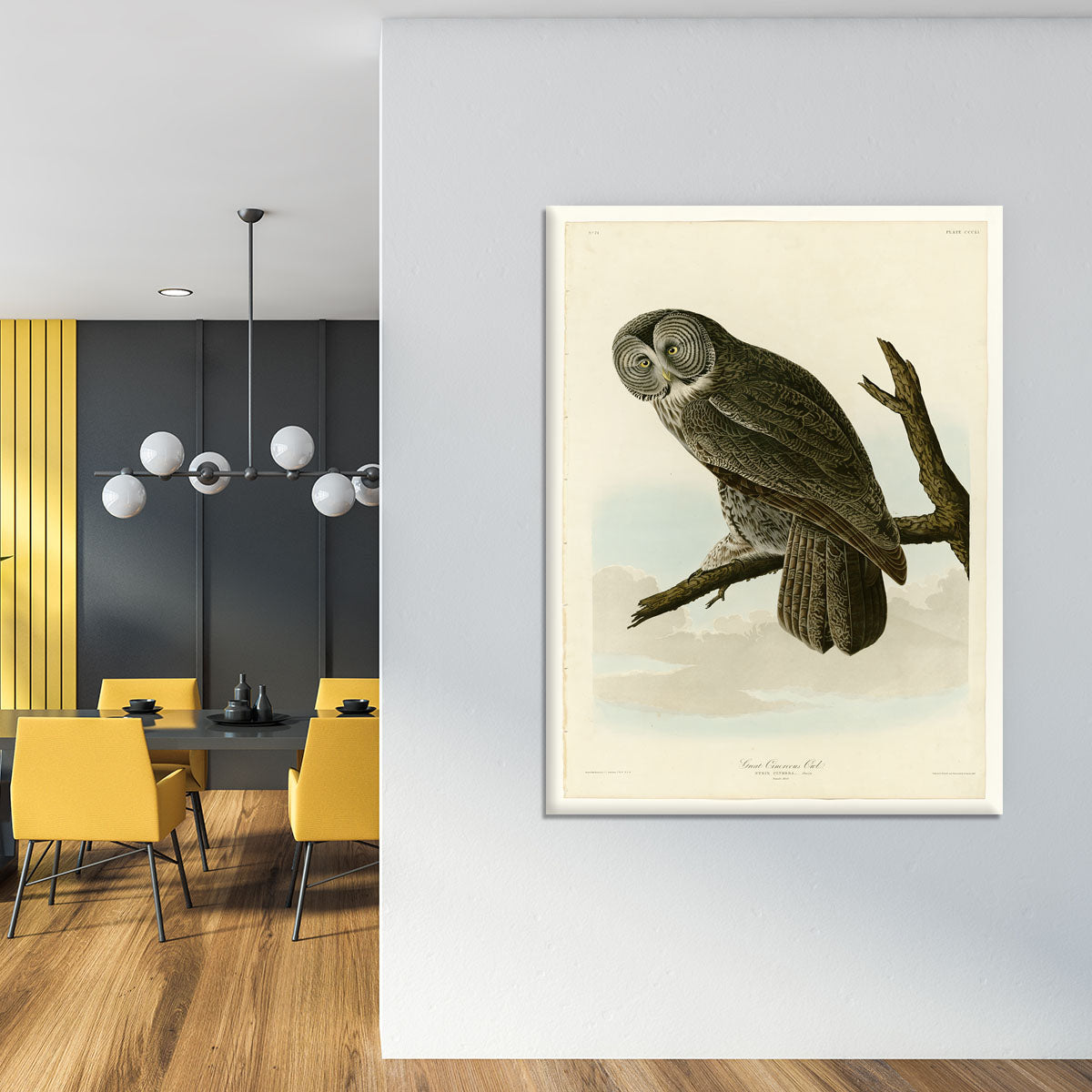 Great Cinereous Owl by Audubon Canvas Print or Poster - Canvas Art Rocks - 4