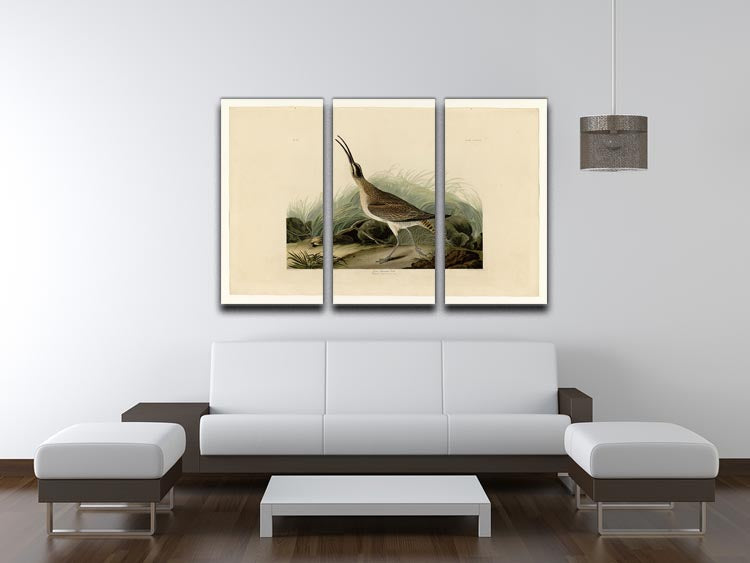 Great Esquimaux Curlew by Audubon 3 Split Panel Canvas Print - Canvas Art Rocks - 3