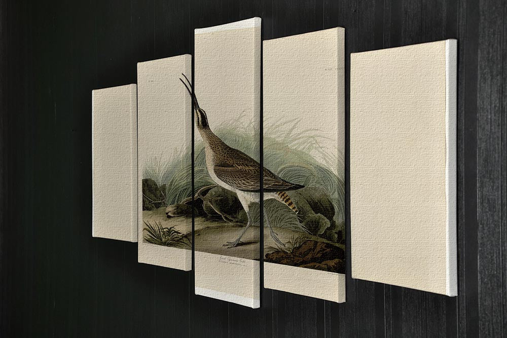 Great Esquimaux Curlew by Audubon 5 Split Panel Canvas - Canvas Art Rocks - 2