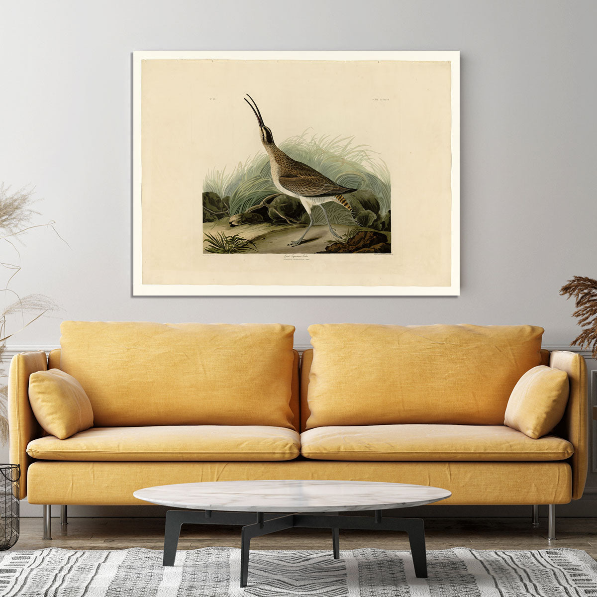 Great Esquimaux Curlew by Audubon Canvas Print or Poster - Canvas Art Rocks - 4