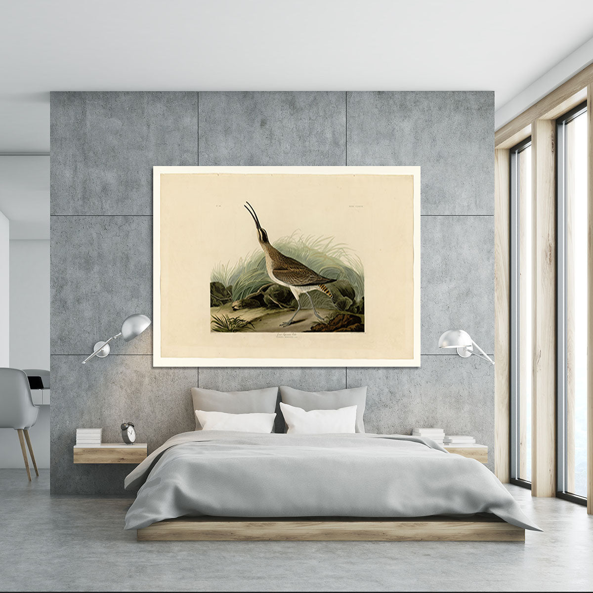 Great Esquimaux Curlew by Audubon Canvas Print or Poster - Canvas Art Rocks - 5