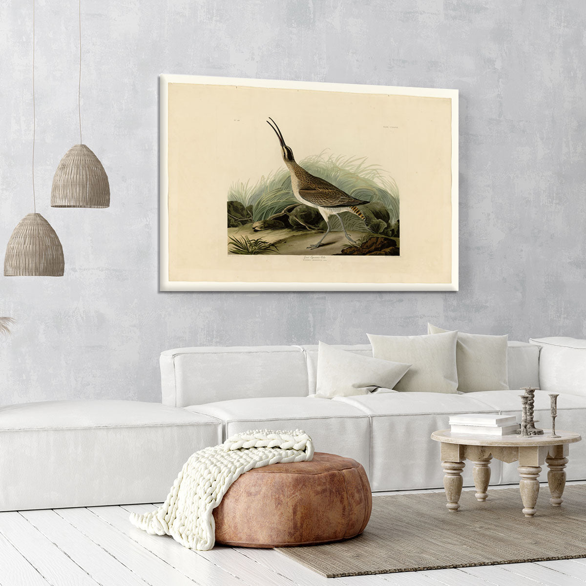 Great Esquimaux Curlew by Audubon Canvas Print or Poster - Canvas Art Rocks - 6