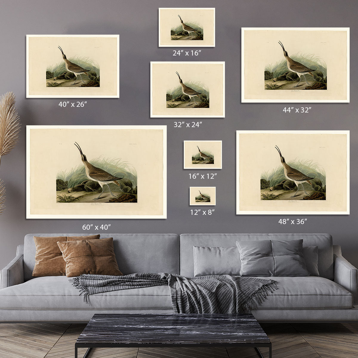 Great Esquimaux Curlew by Audubon Canvas Print or Poster - Canvas Art Rocks - 7