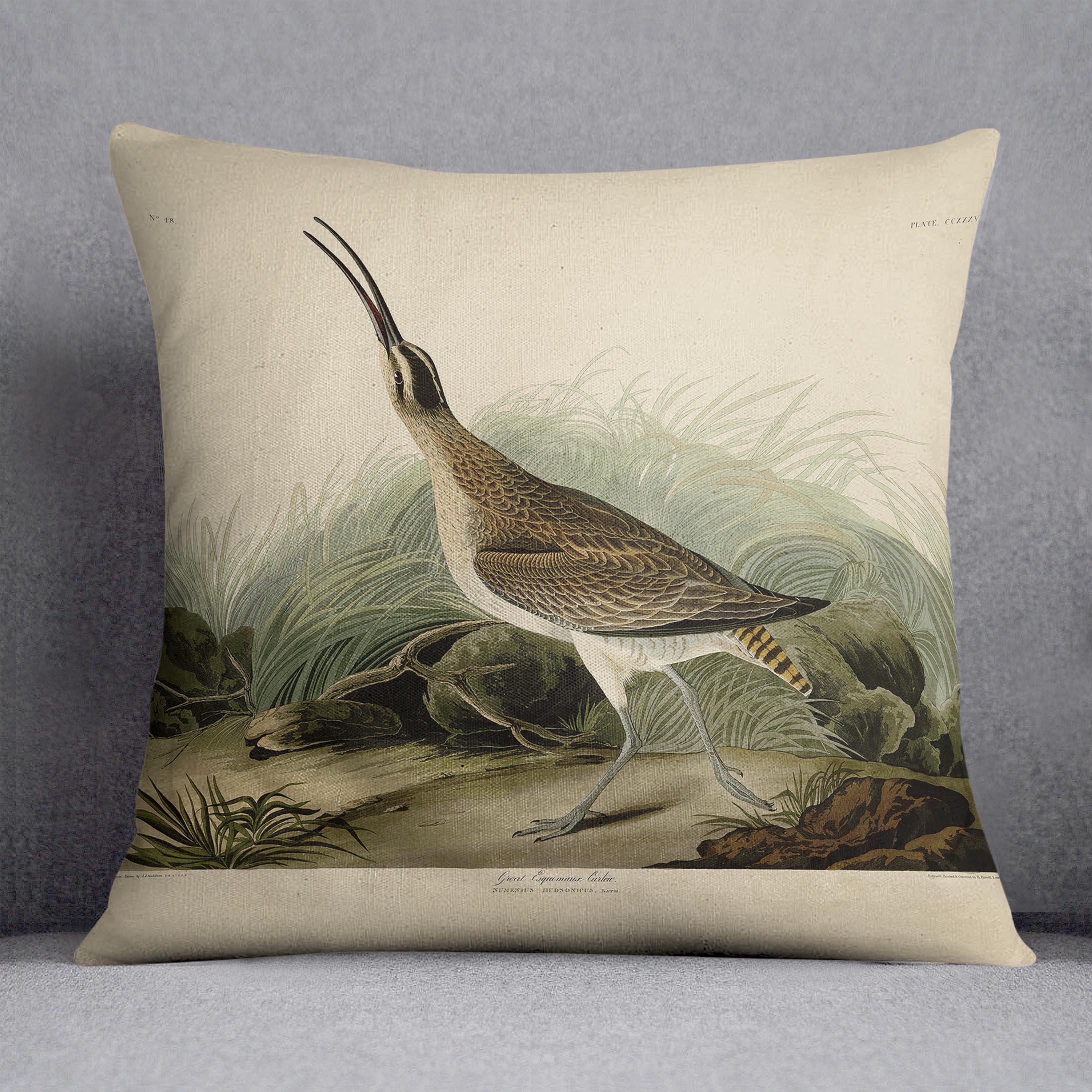Great Esquimaux Curlew by Audubon Cushion