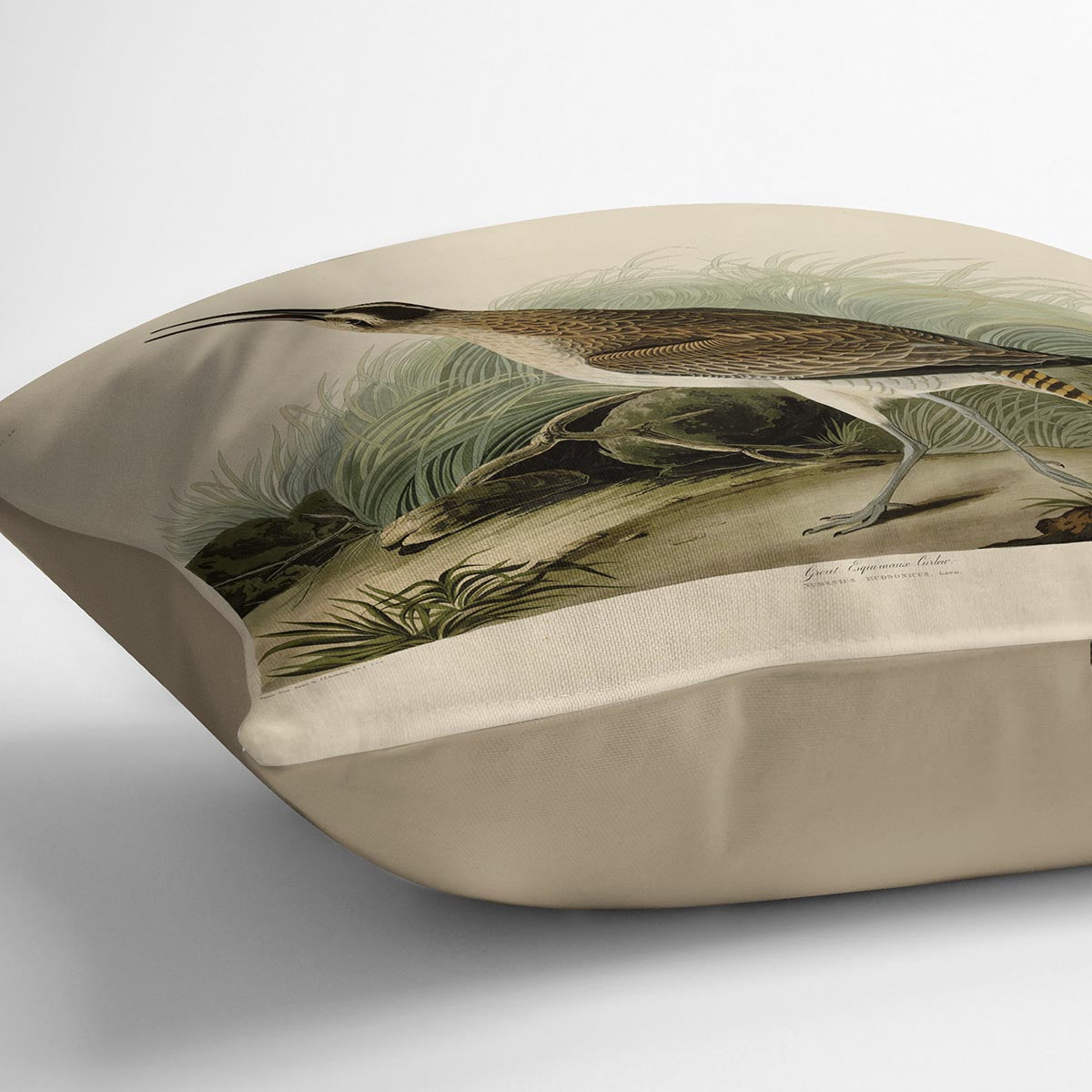 Great Esquimaux Curlew by Audubon Cushion
