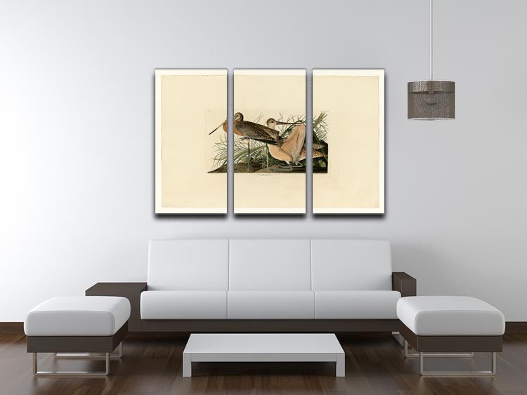 Great Marbled Godwit by Audubon 3 Split Panel Canvas Print - Canvas Art Rocks - 3