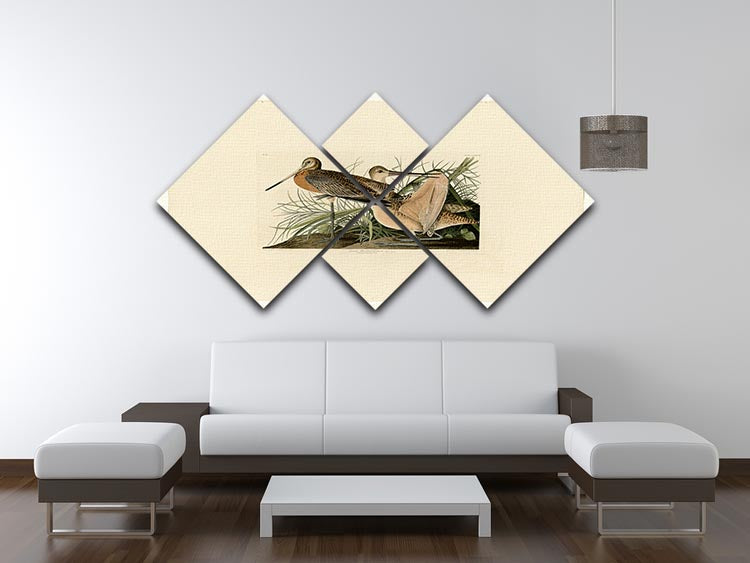 Great Marbled Godwit by Audubon 4 Square Multi Panel Canvas - Canvas Art Rocks - 3