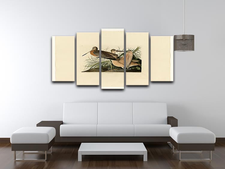 Great Marbled Godwit by Audubon 5 Split Panel Canvas - Canvas Art Rocks - 3