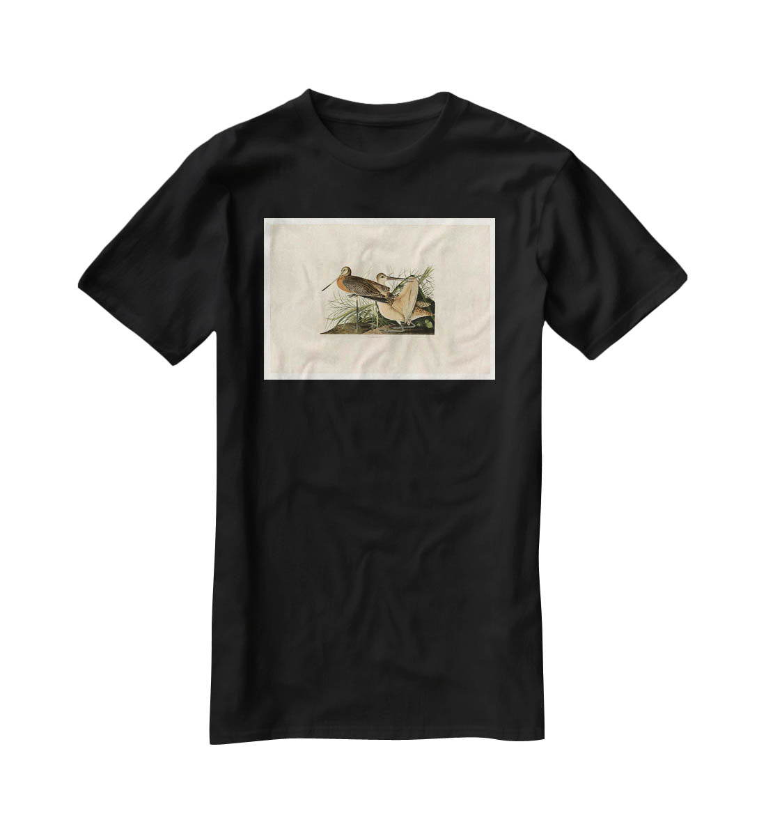 Great Marbled Godwit by Audubon T-Shirt - Canvas Art Rocks - 1