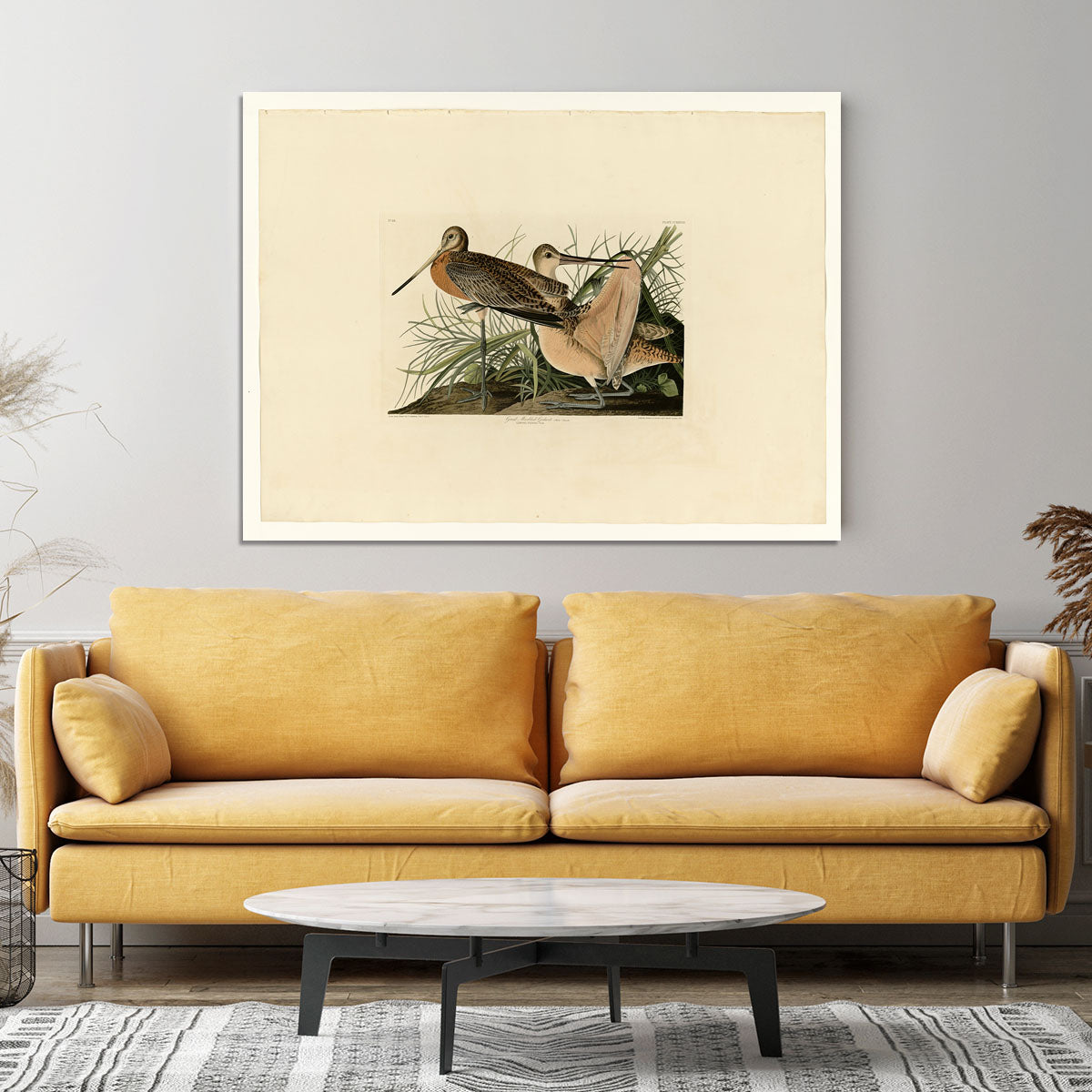 Great Marbled Godwit by Audubon Canvas Print or Poster - Canvas Art Rocks - 4