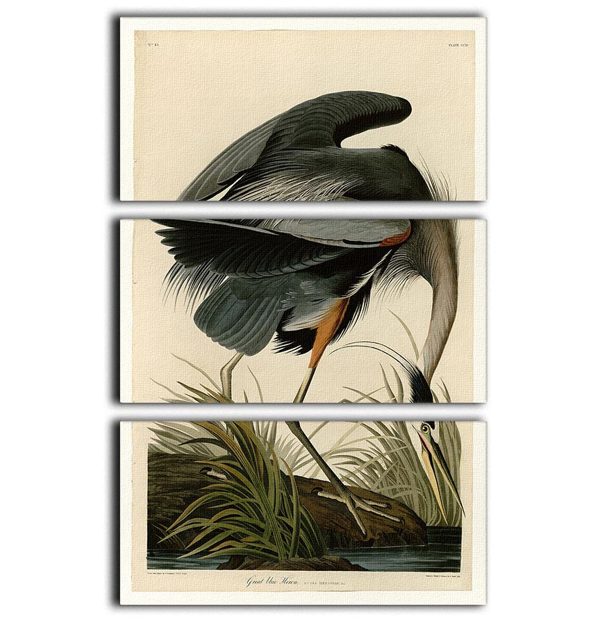 Great blue Heron by Audubon 3 Split Panel Canvas Print - Canvas Art Rocks - 1