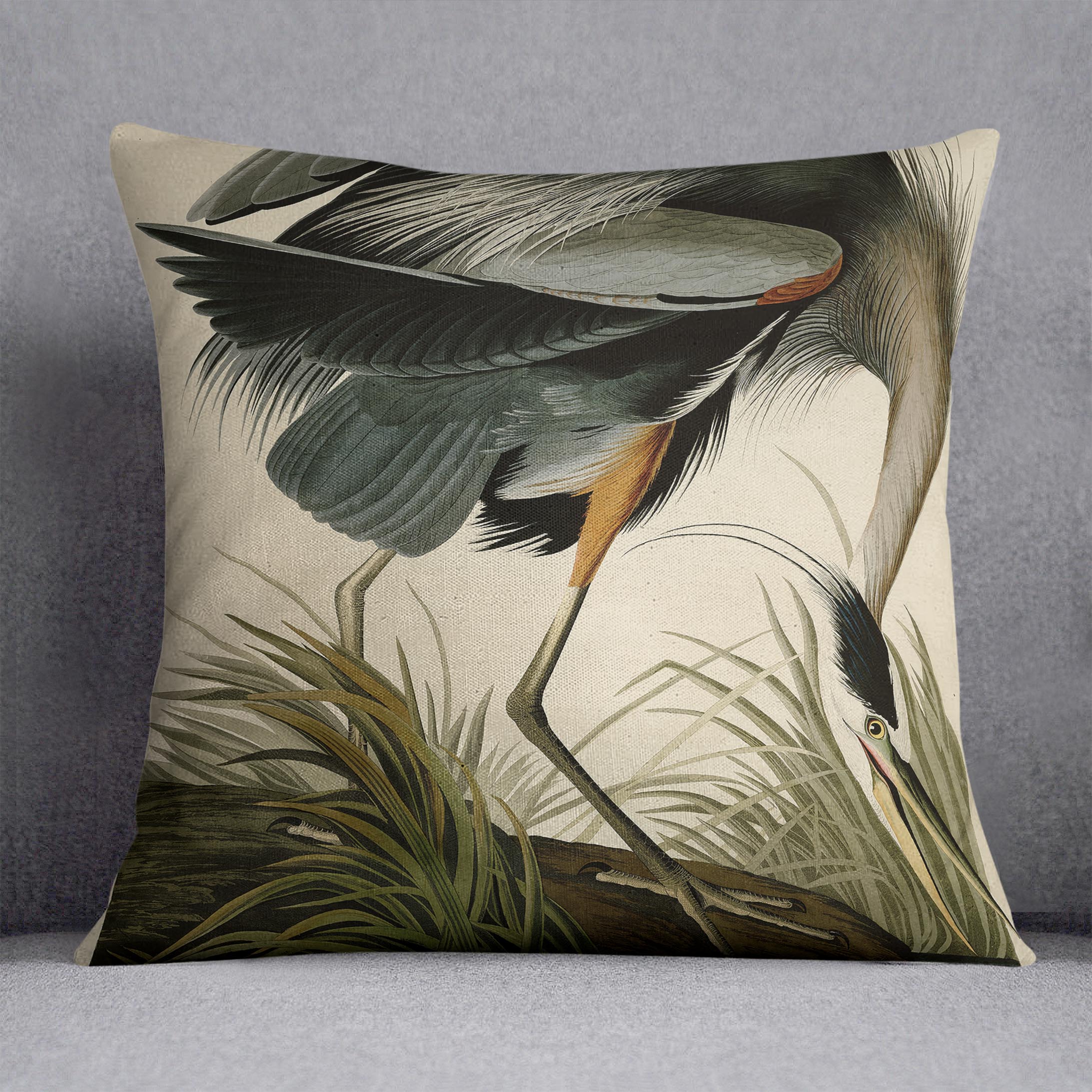 Great blue Heron by Audubon Cushion