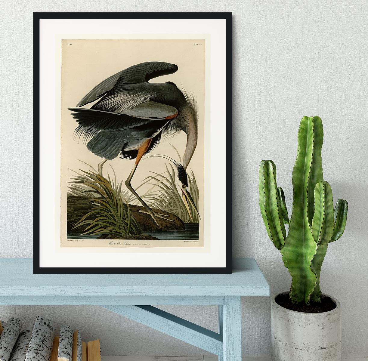 Great blue Heron by Audubon Framed Print - Canvas Art Rocks - 1