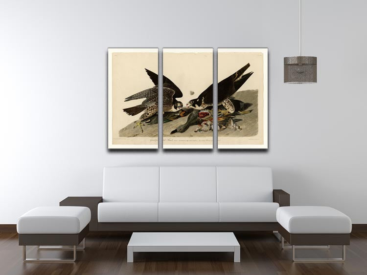 Great footed Hawk by Audubon 3 Split Panel Canvas Print - Canvas Art Rocks - 3