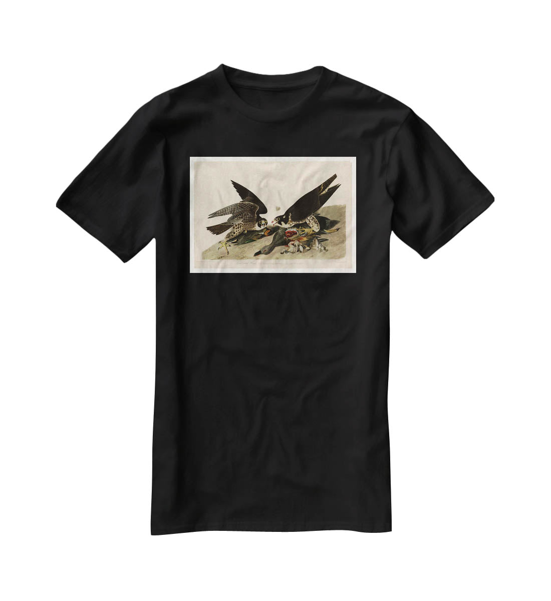 Great footed Hawk by Audubon T-Shirt - Canvas Art Rocks - 1