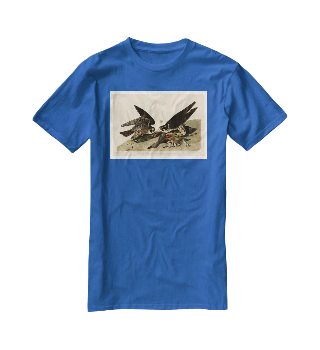 Great footed Hawk by Audubon T-Shirt - Canvas Art Rocks - 2